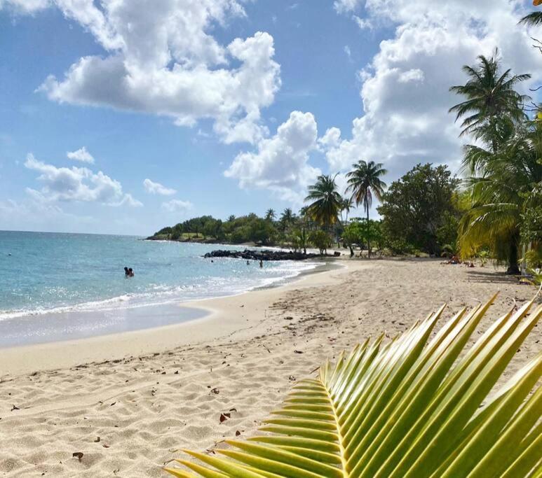 Villa Caraibes Sainte-Luce Exterior foto